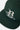BrixtonPredator Snapback- Primal Green