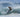 Futures Ethan Ewing Signature Fiberglass (M)