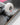 Globe Skateboard G0 Hive Complete Blur 8.25